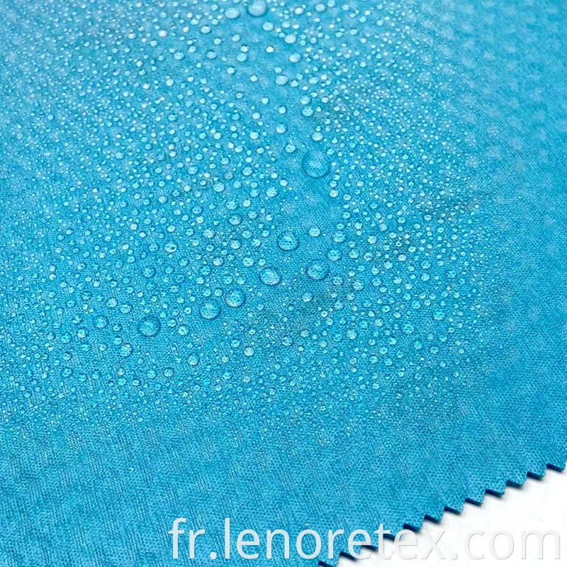 Polar Fleece Fabric